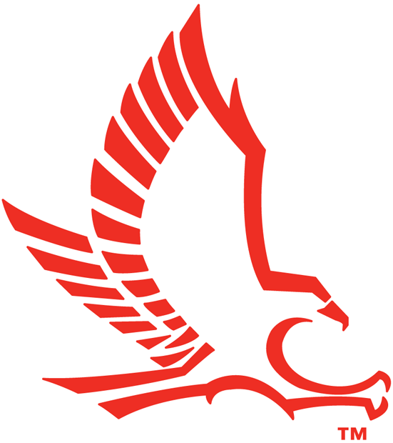 Hartford Hawks 1984-Pres Secondary Logo diy DTF decal sticker